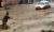 Rescate en Comodoro Rivadavia en plena inundación