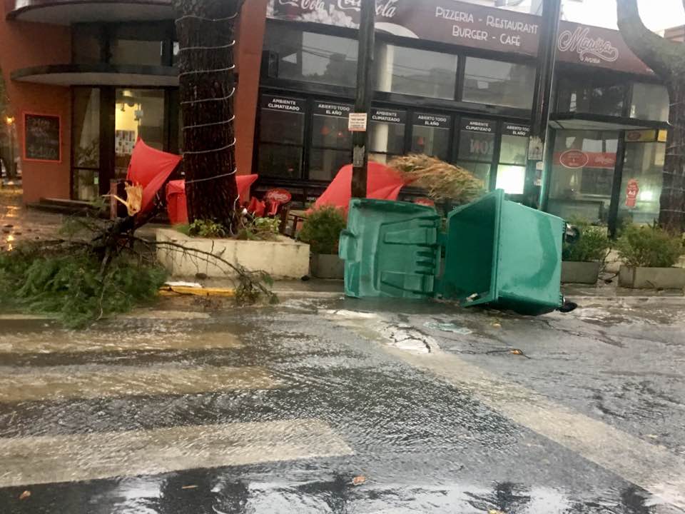 Casas, autos y árboles resultaron dañados debido a los vientos intensos asociados a la ciclogénesis (Lisandro Crovetto).
