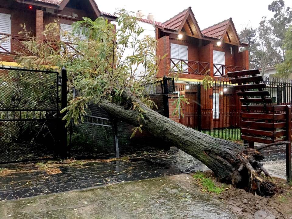 Casas, autos y árboles resultaron dañados debido a los vientos intensos asociados a la ciclogénesis (Lisandro Crovetto).