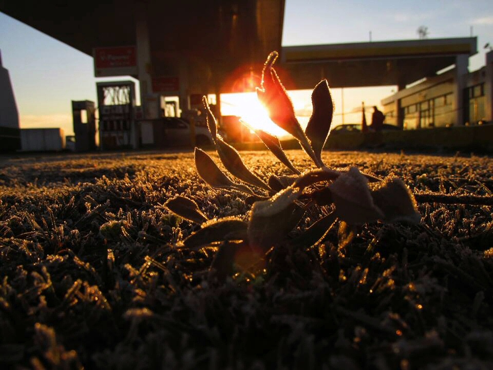 El sol asoma tímido en una mañana helada en la autopista Buenos Aires - La Plata (Juan Camilo Lemus Belalcazar).