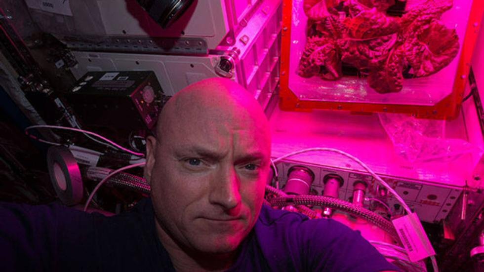 En el sistema de crecimiento también se pudo cultivar lechuga, posible fuente adicional de alimento en el espacio (NASA).