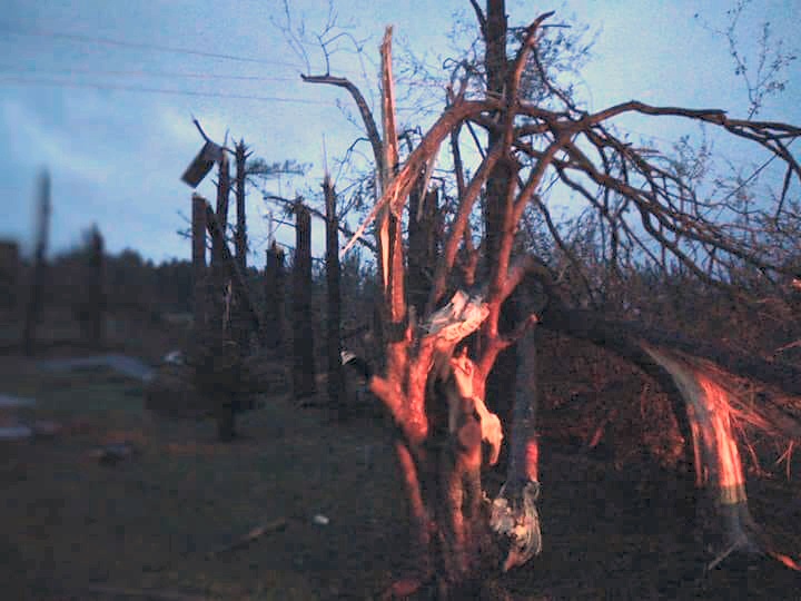 El tornado también destruyó varios árboles en la zona afectada (redes sociales).