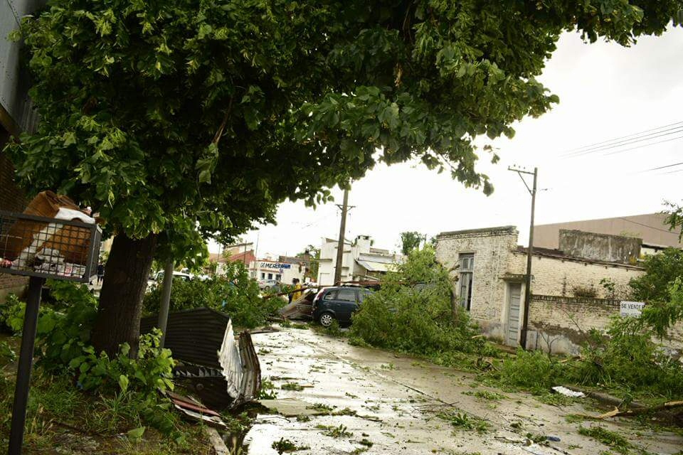 Daños en la localidad de Lobería debido al paso del tornado (redes sociales).