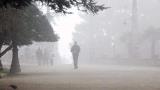 ¿Qué es y cómo se forma la niebla?