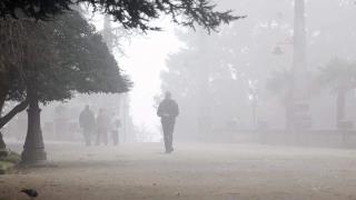 ¿Qué es y cómo se forma la niebla?