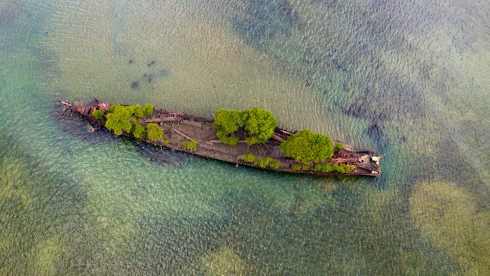 Un barco convertido en una reserva natural