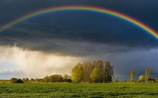 Todo sobre los arcoiris: Qué son y cómo se forman