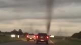 Increíble tornado de mosquitos en Pinamar