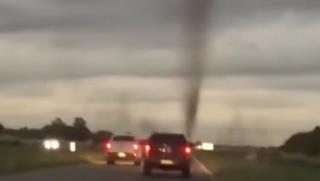 Increíble tornado de mosquitos en Pinamar