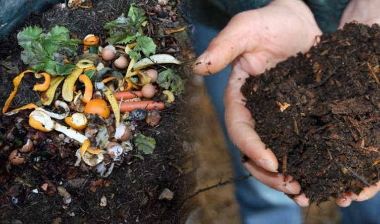 Ayudando al medioambiente desde casa: Cómo hacer compost