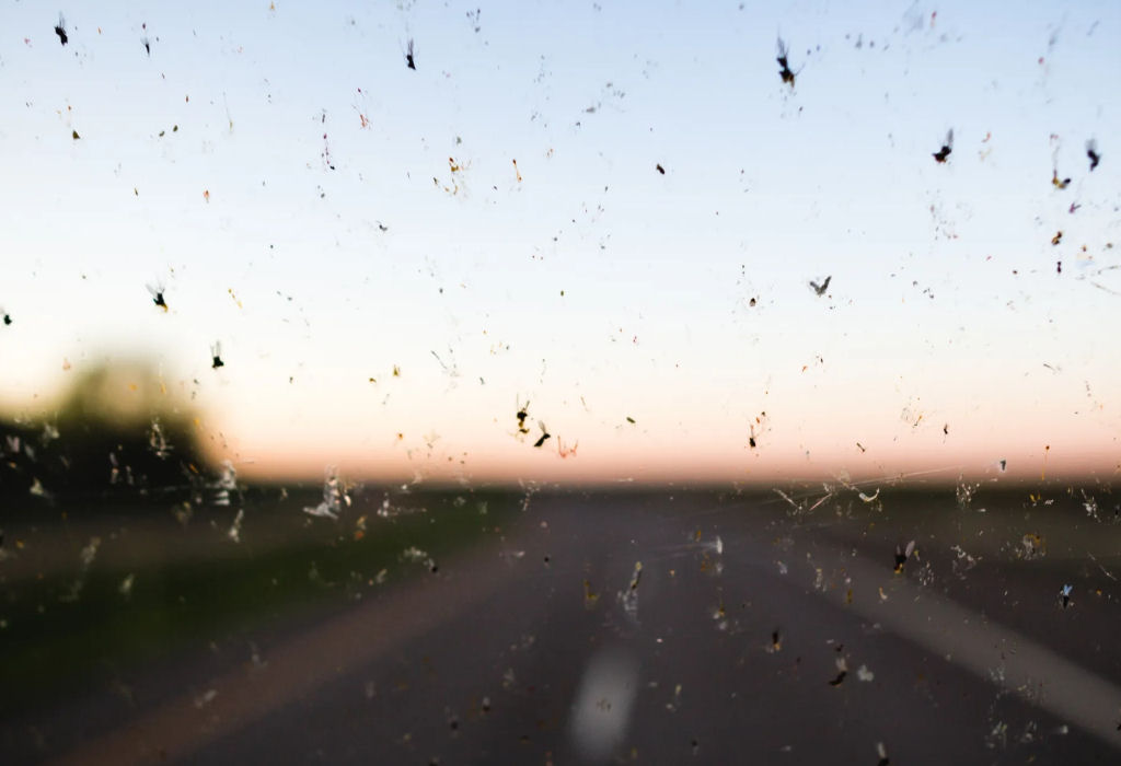 ¿Por qué se estrellan menos insectos en el parabrisas del auto?
