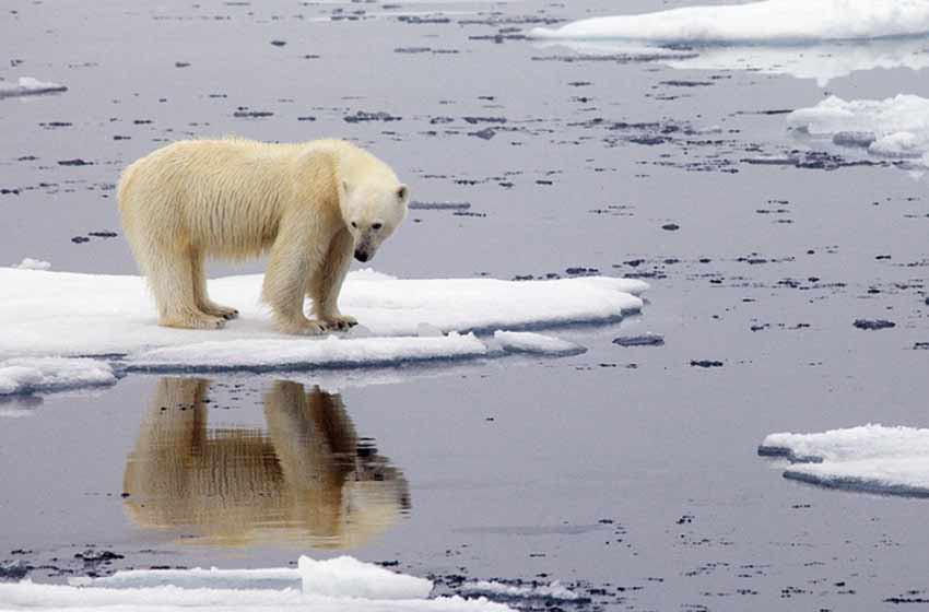 La OMM reconoció un nuevo récord de temperatura en el Ártico